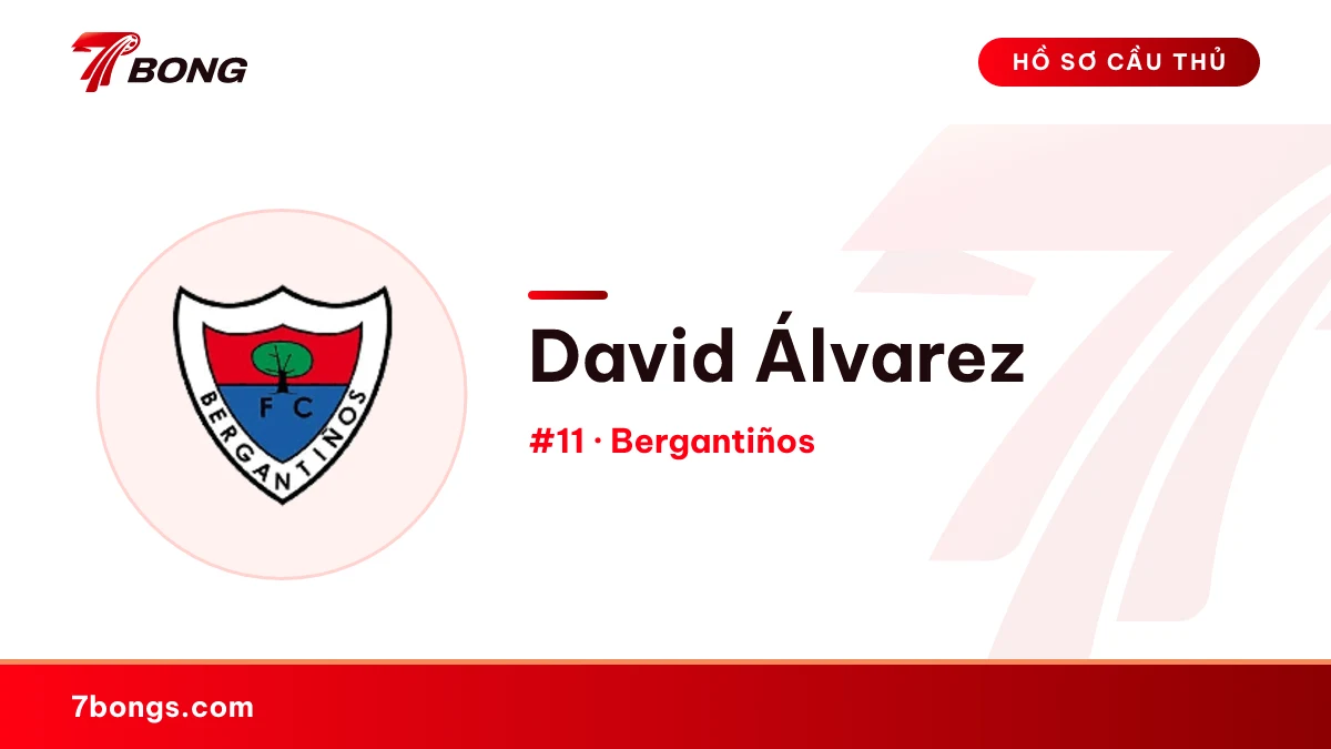 David Álvarez — Bergantiños