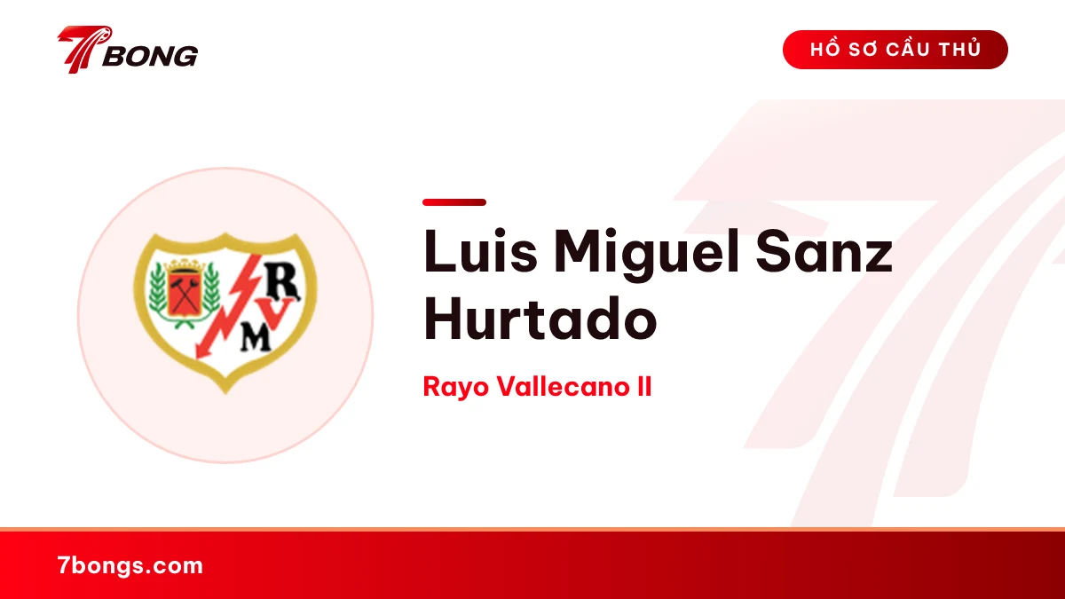 Luis Miguel Sanz Hurtado — Rayo Vallecano II