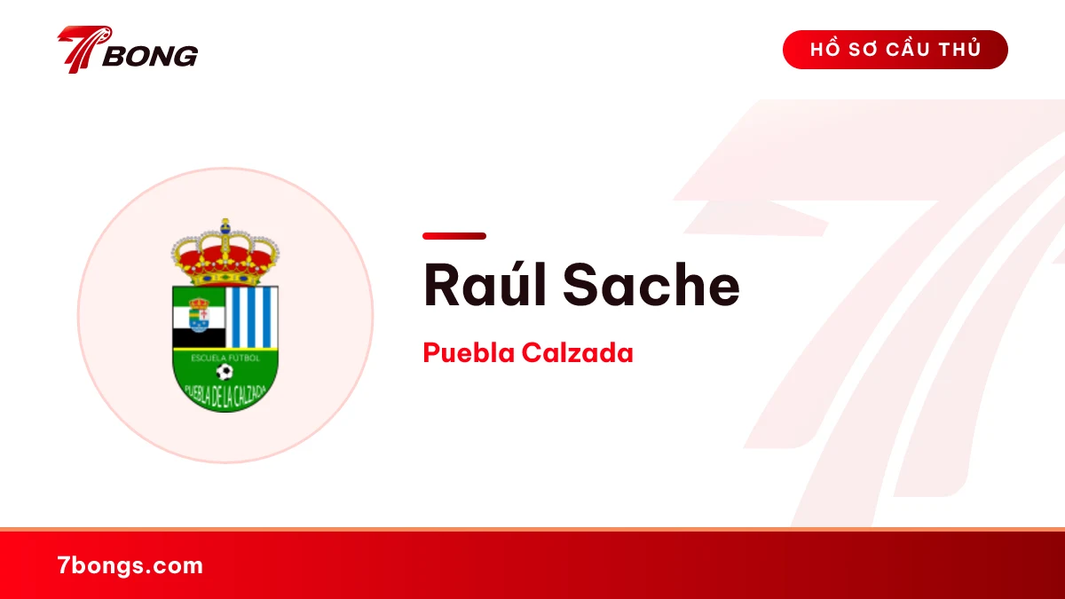 Raúl Sache — Puebla Calzada