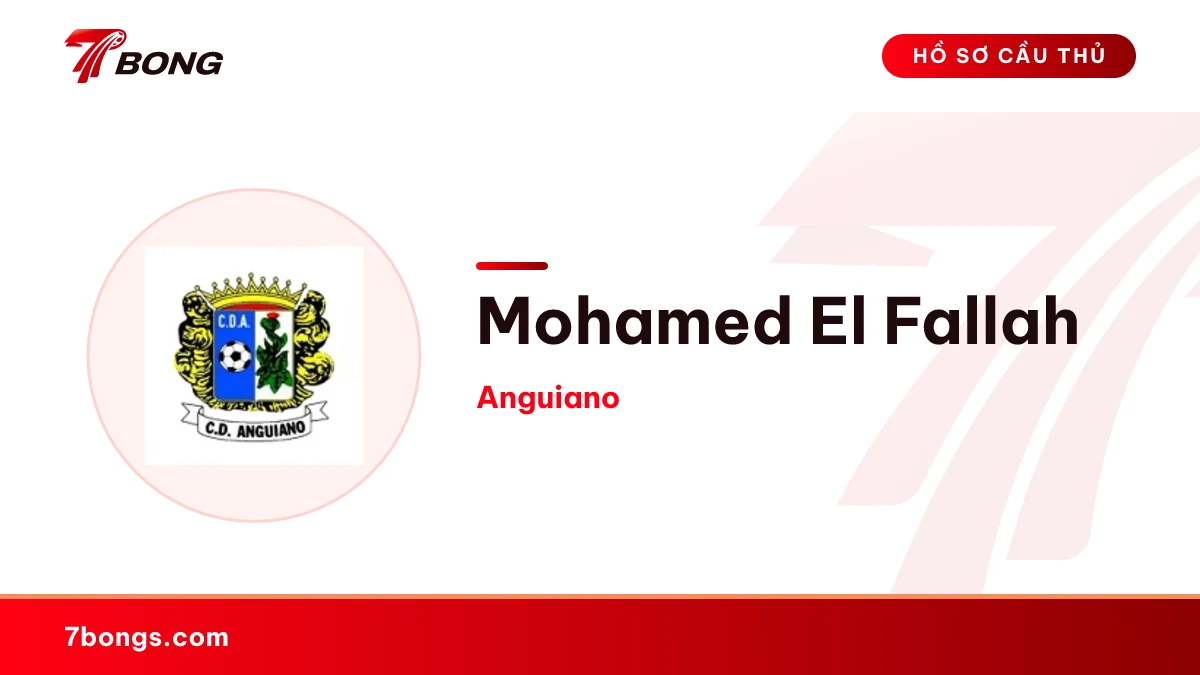 Mohamed El Fallah — Anguiano