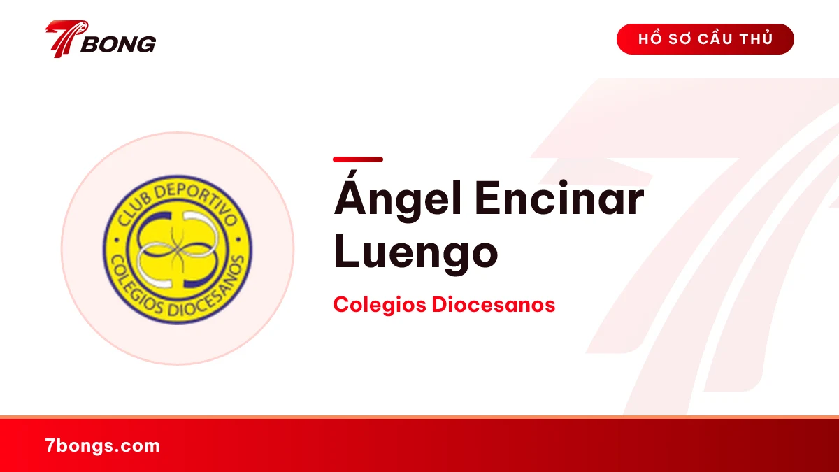 Ángel Encinar Luengo — Colegios Diocesanos