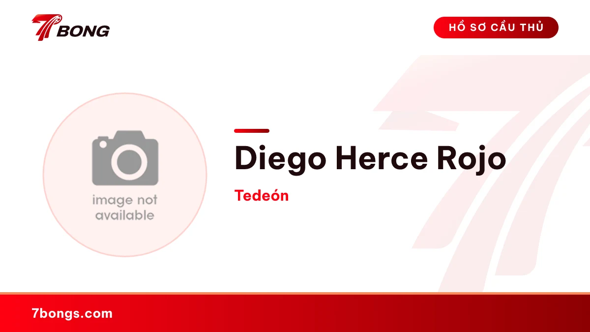 Diego Herce Rojo — Tedeón