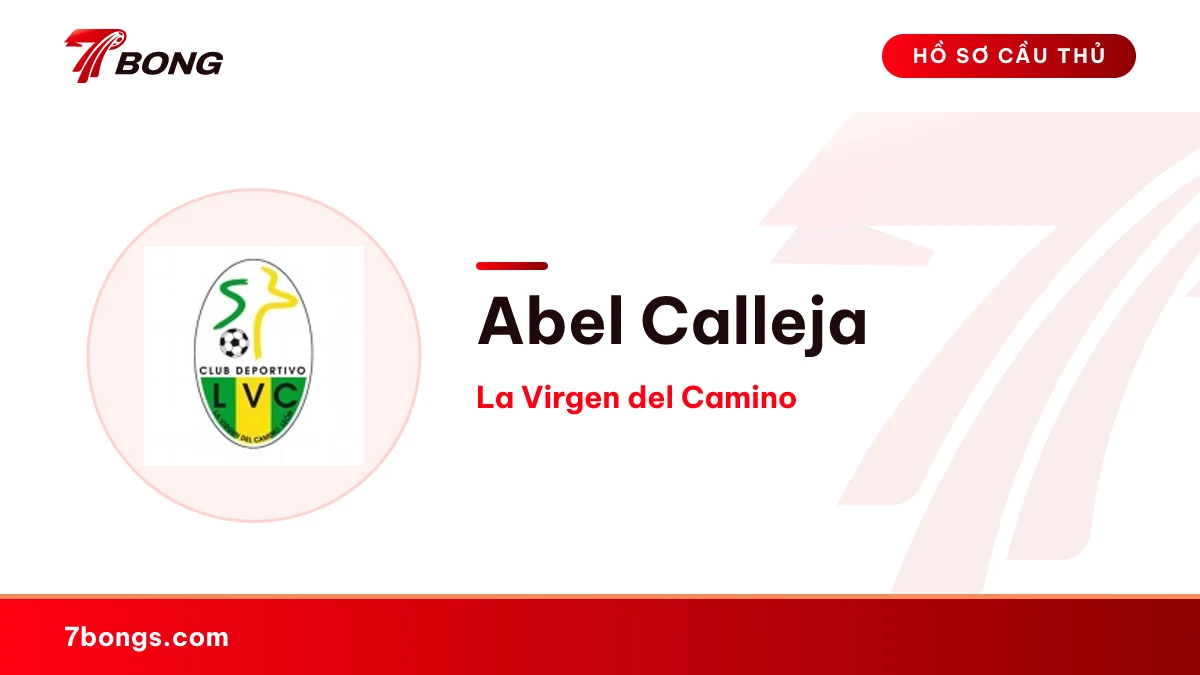 Abel Calleja — La Virgen del Camino