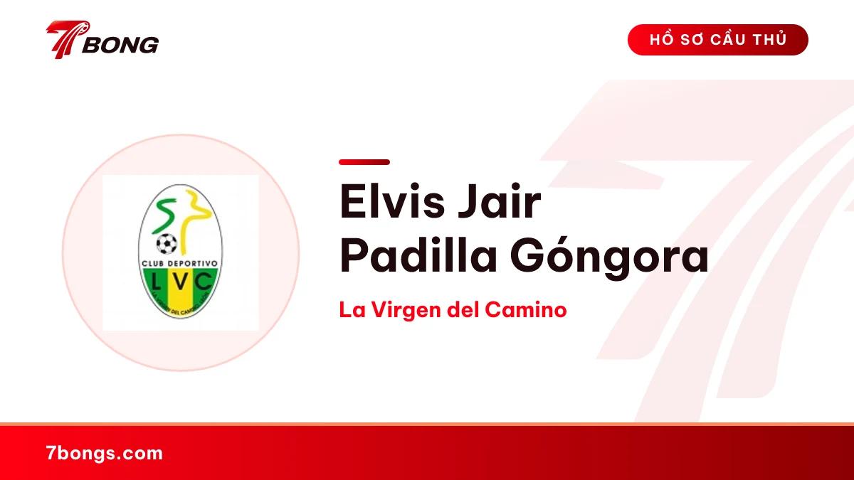 Elvis Jair Padilla Góngora — La Virgen del Camino
