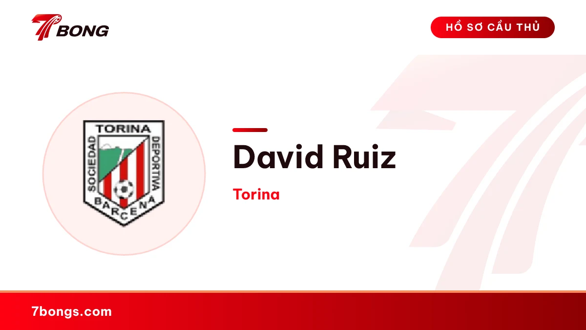 David Ruiz — Torina