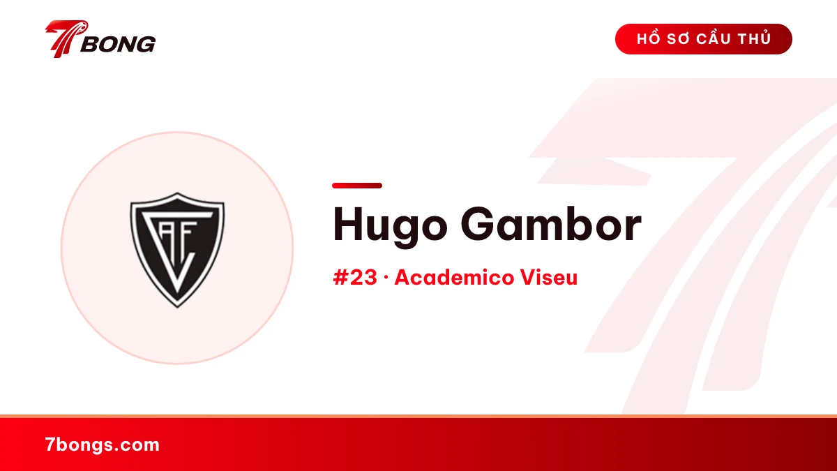 Hugo Gambor — Academico Viseu