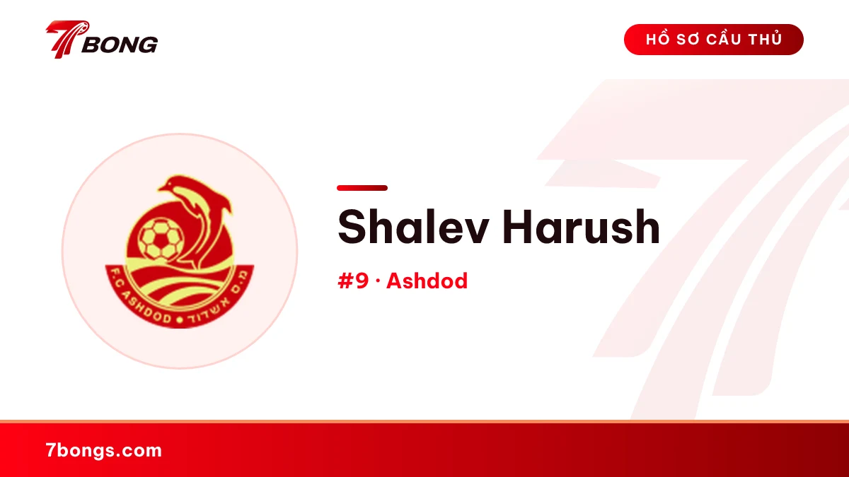 Shalev Harush — Ashdod