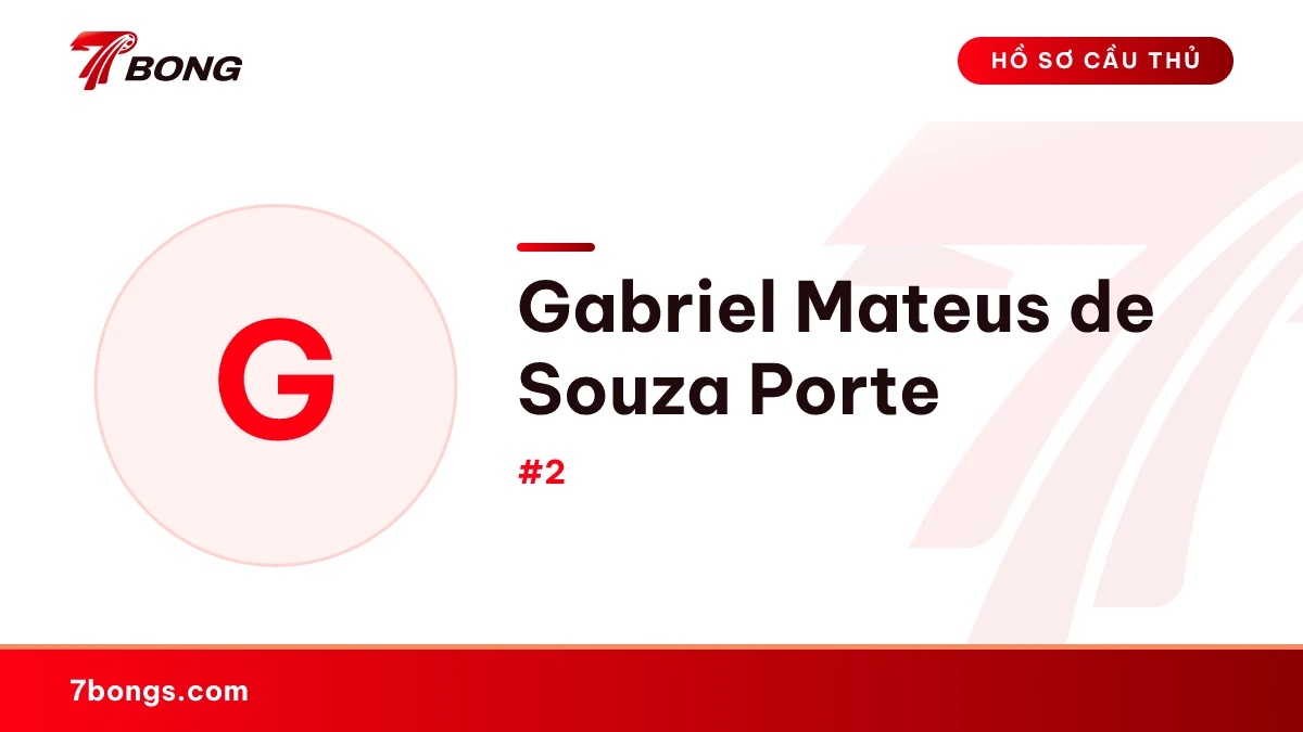Gabriel Mateus de Souza Porte