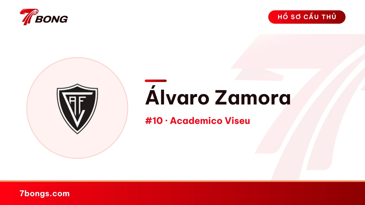 Álvaro Zamora — Academico Viseu
