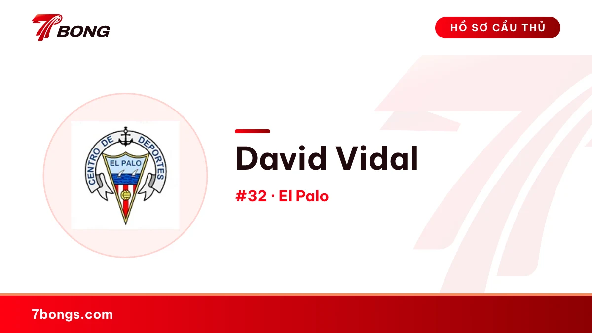 David Vidal — El Palo