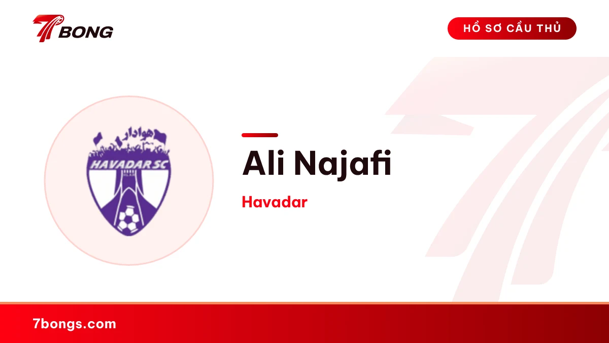 Ali Najafi — Havadar