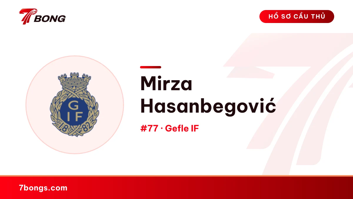 Mirza Hasanbegović — Gefle IF