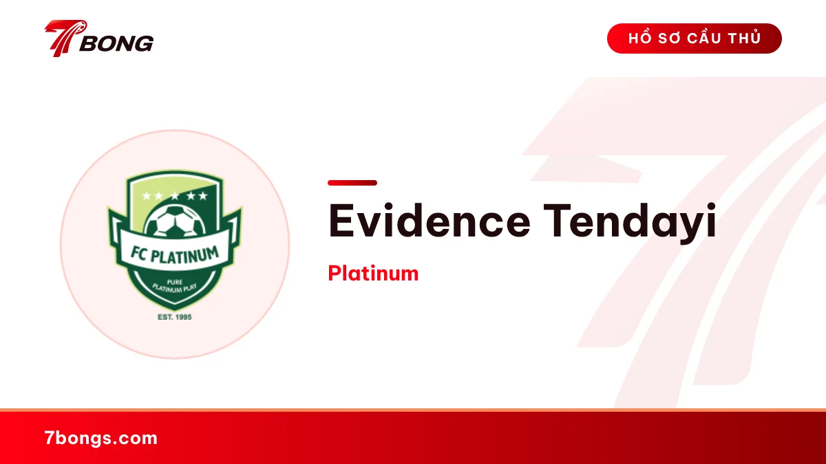 Evidence Tendayi — Platinum