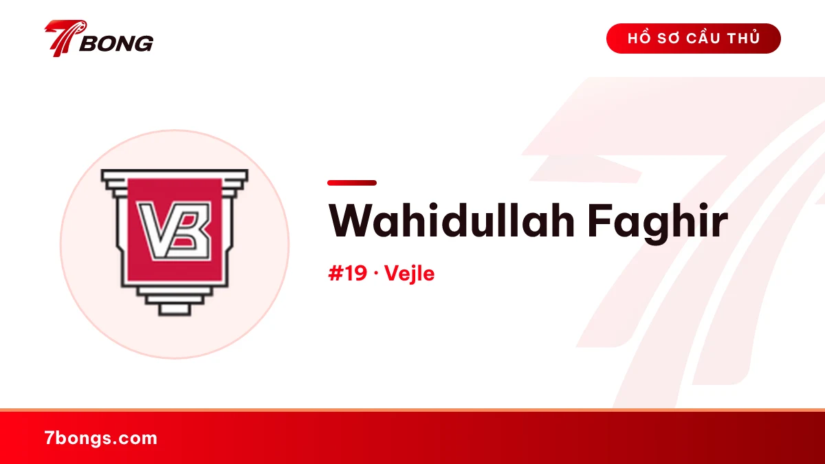 Wahidullah Faghir — Vejle