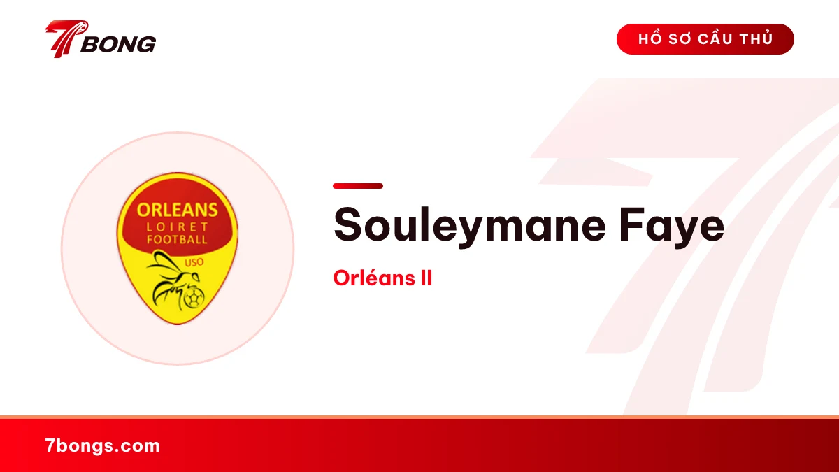 Souleymane Faye — Orléans II