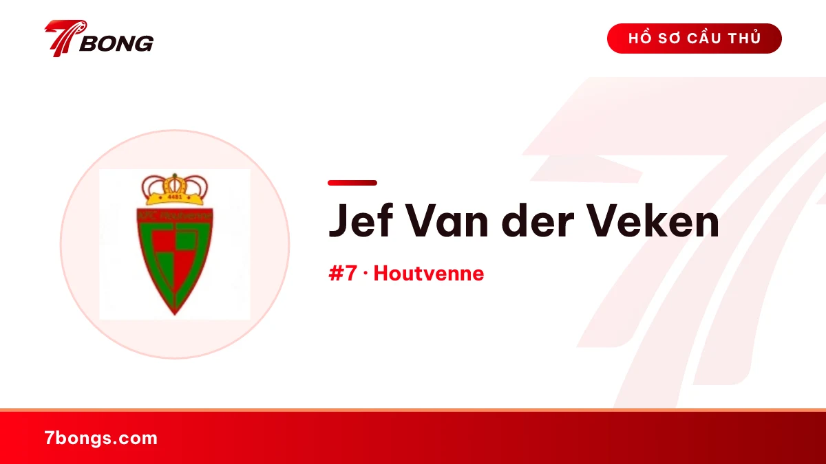 Jef Van der Veken — Houtvenne