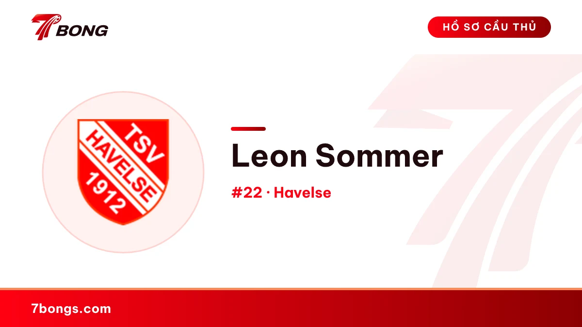 Leon Sommer — Havelse