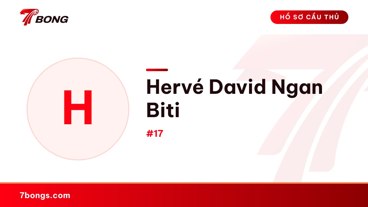 Hervé David Ngan Biti