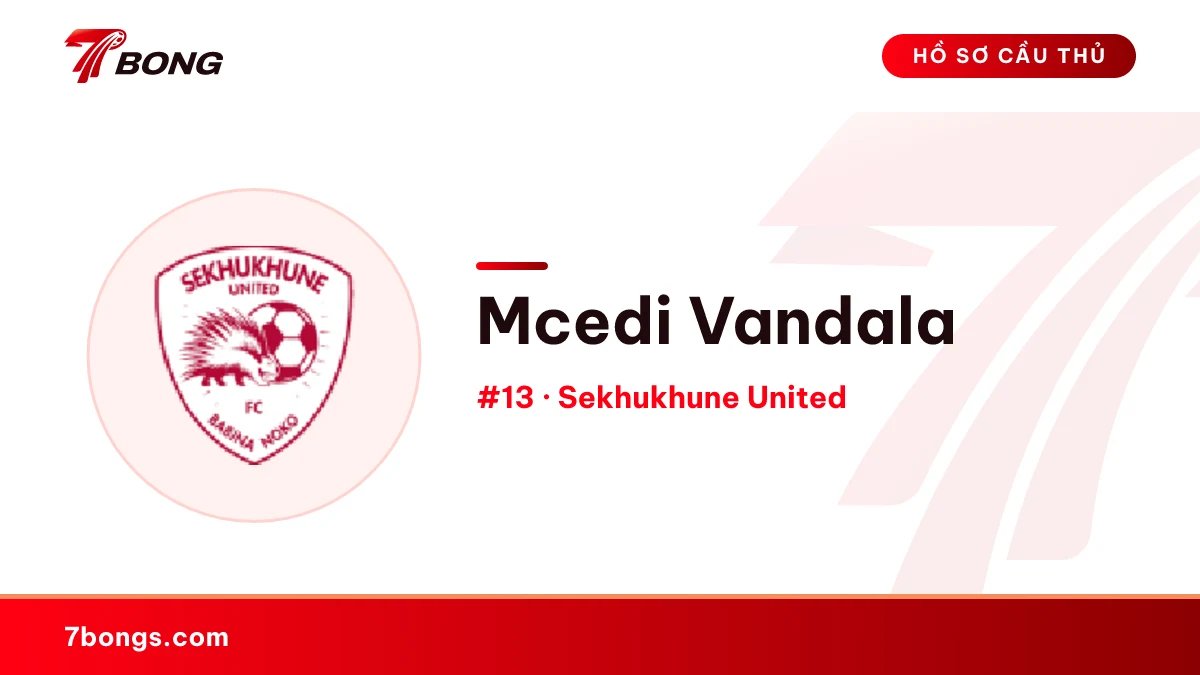 Mcedi Vandala — Sekhukhune United