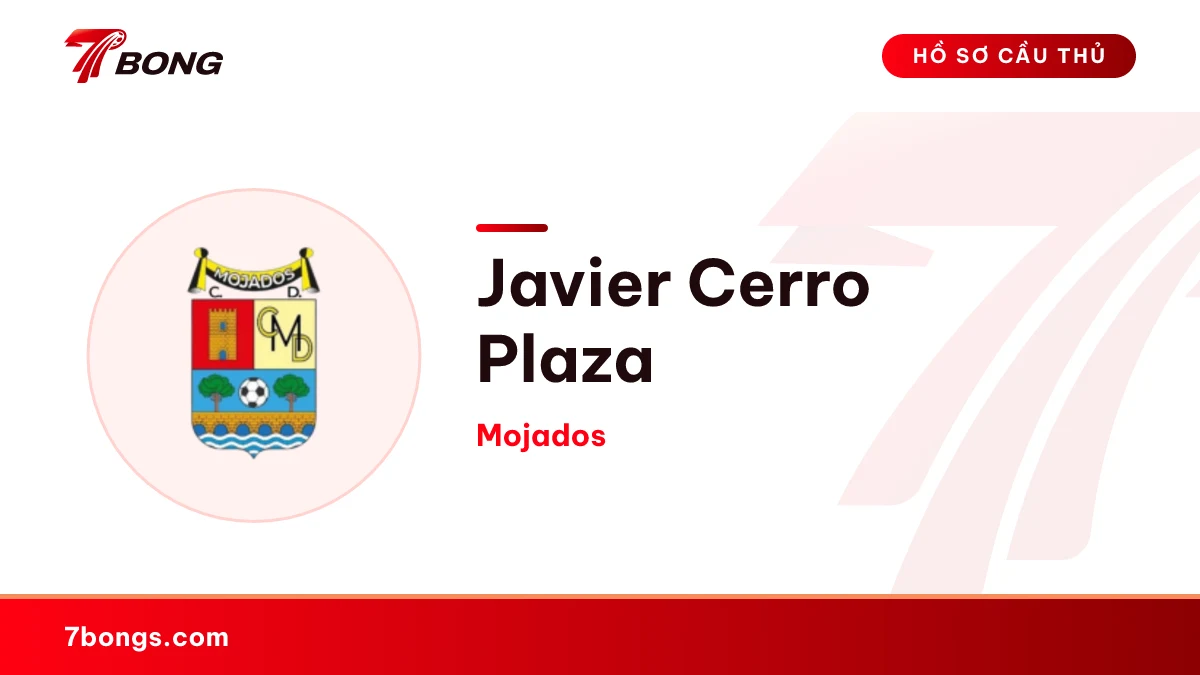 Javier Cerro Plaza — Mojados