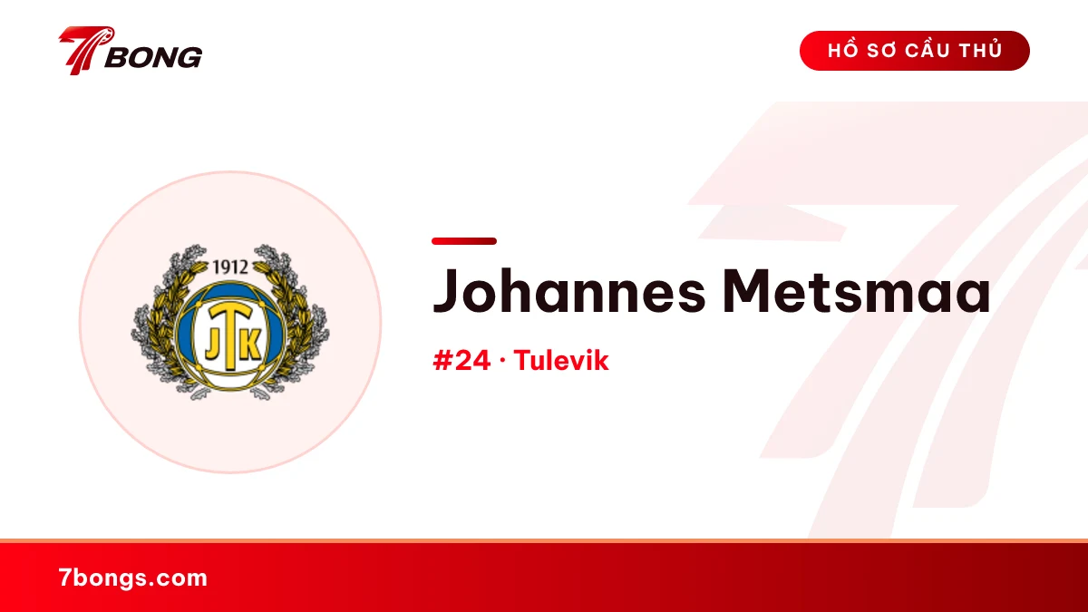 Johannes Metsmaa — Tulevik