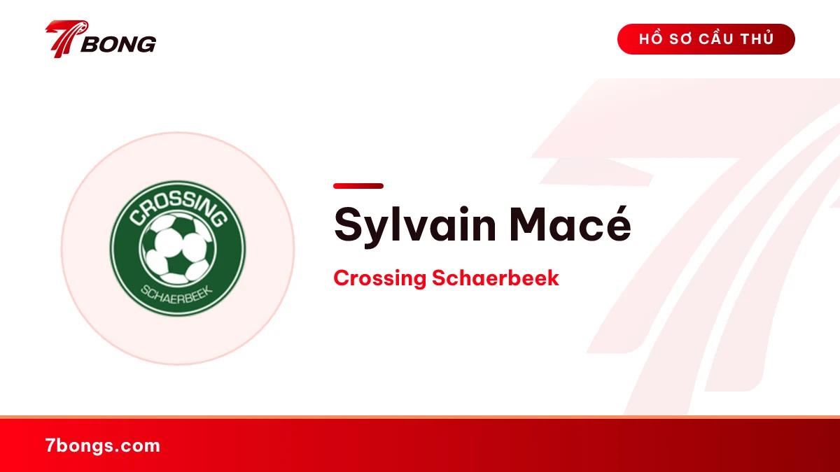 Sylvain Macé — Crossing Schaerbeek
