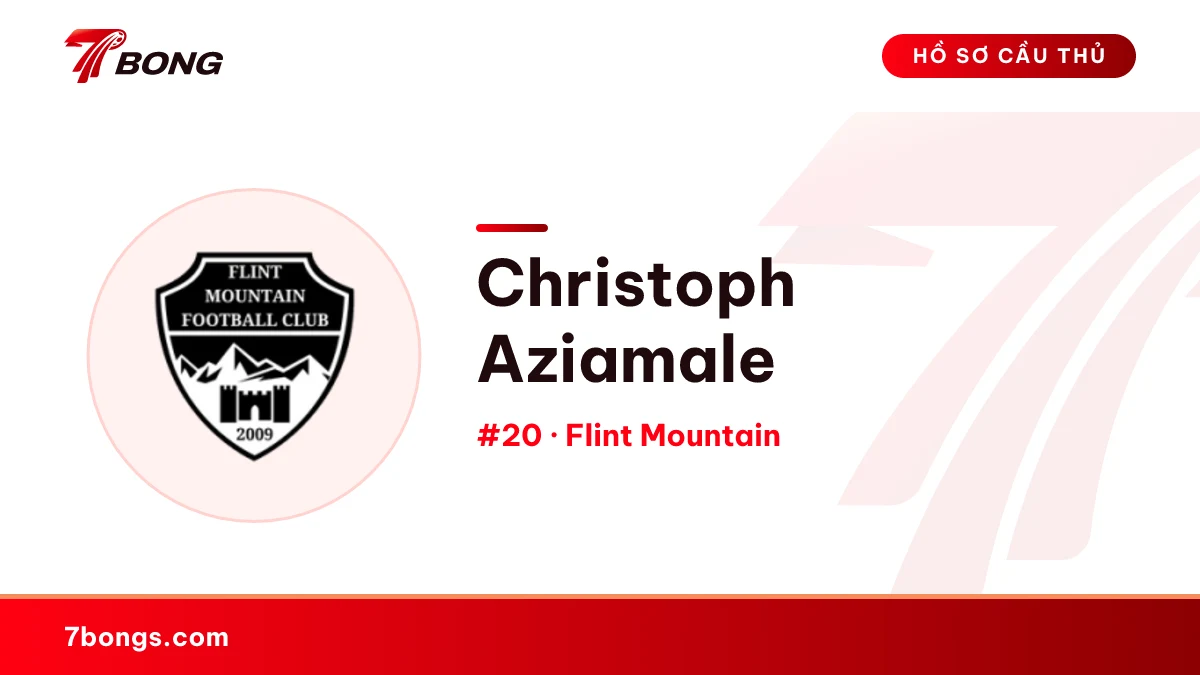 Christoph Aziamale — Flint Mountain