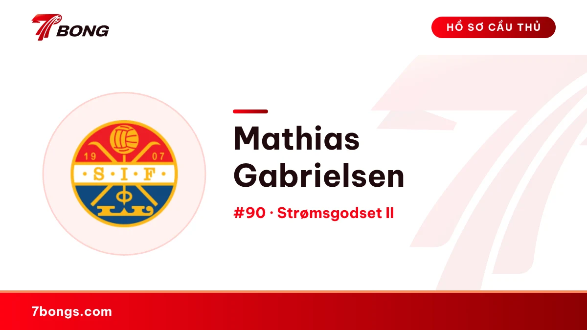 Mathias Gabrielsen — Strømsgodset II