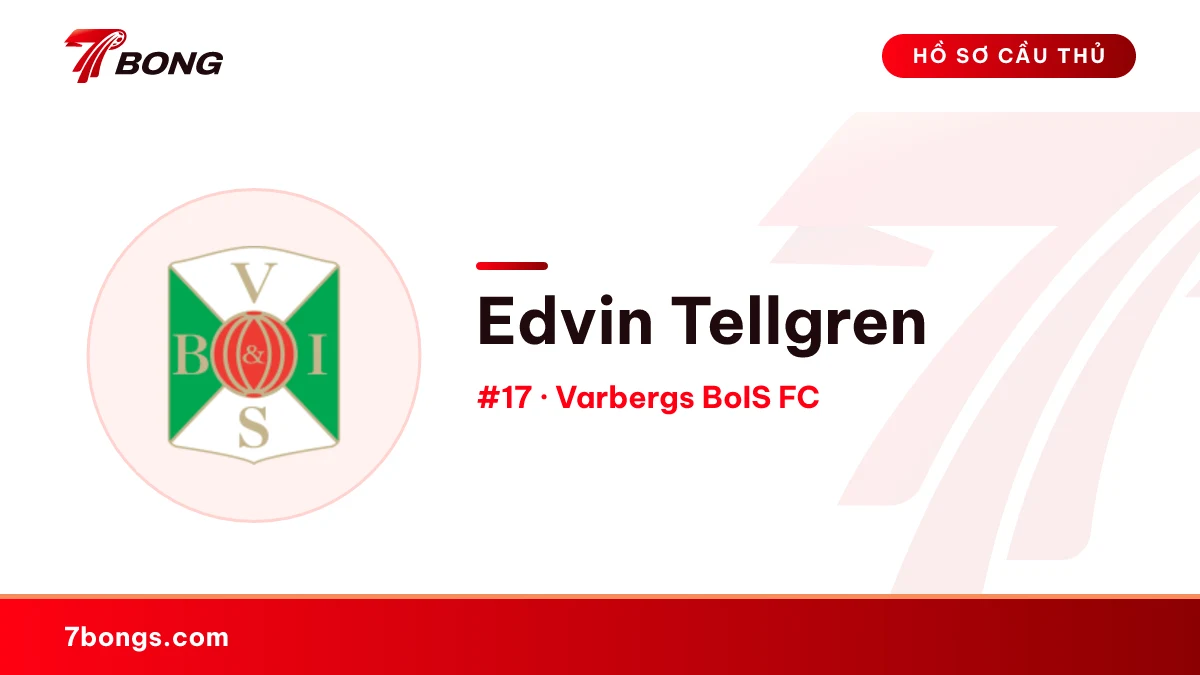 Edvin Tellgren — Varbergs BoIS FC