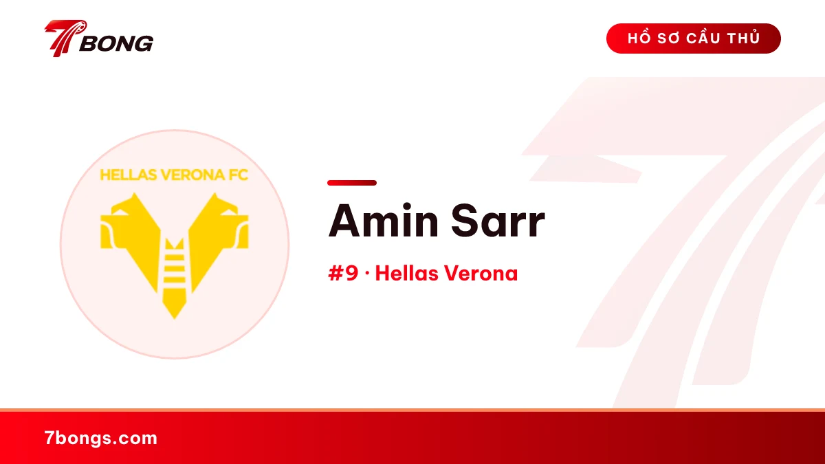 Amin Sarr — Hellas Verona