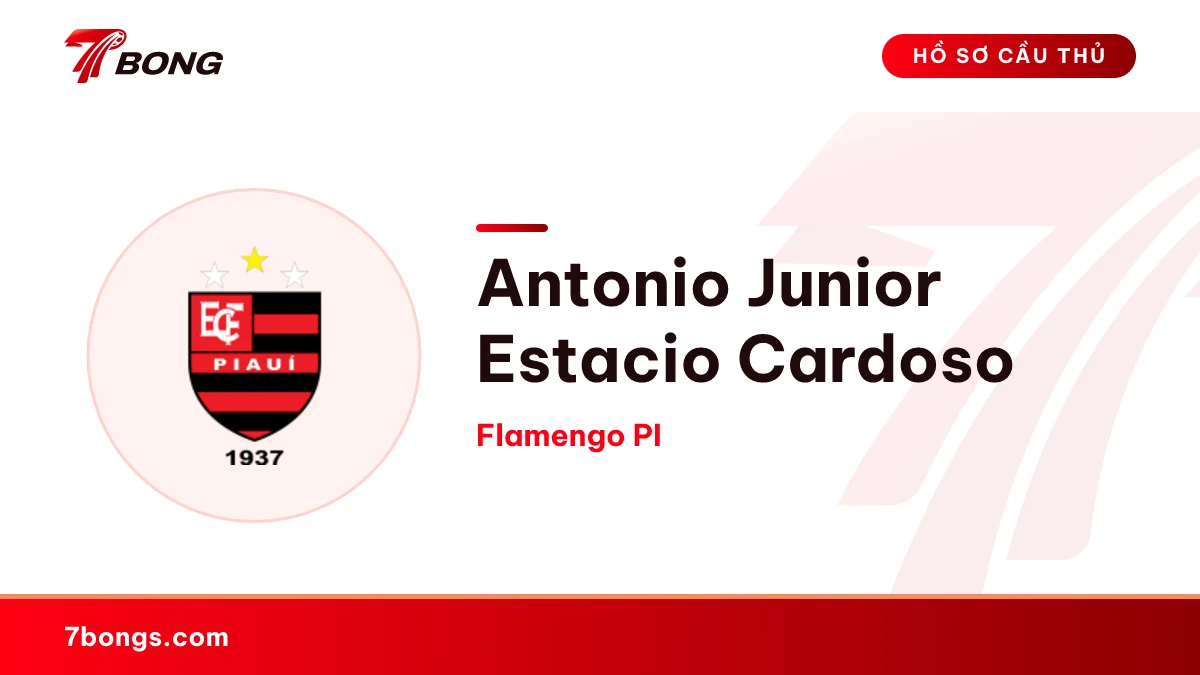 Antonio Junior Estacio Cardoso — Flamengo PI