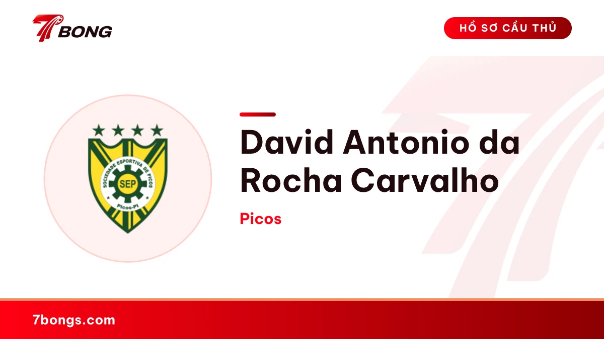 David Antonio da Rocha Carvalho — Picos