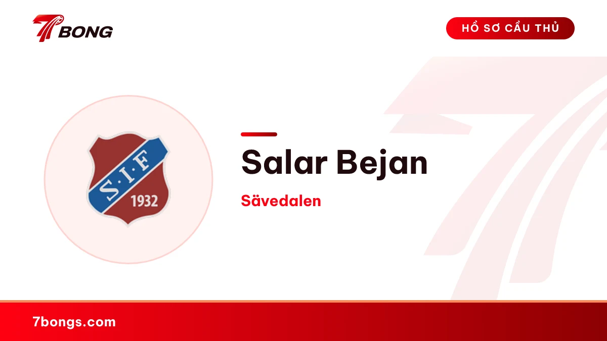 Salar Bejan — Sävedalen