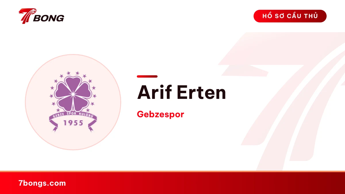 Arif Erten — Gebzespor