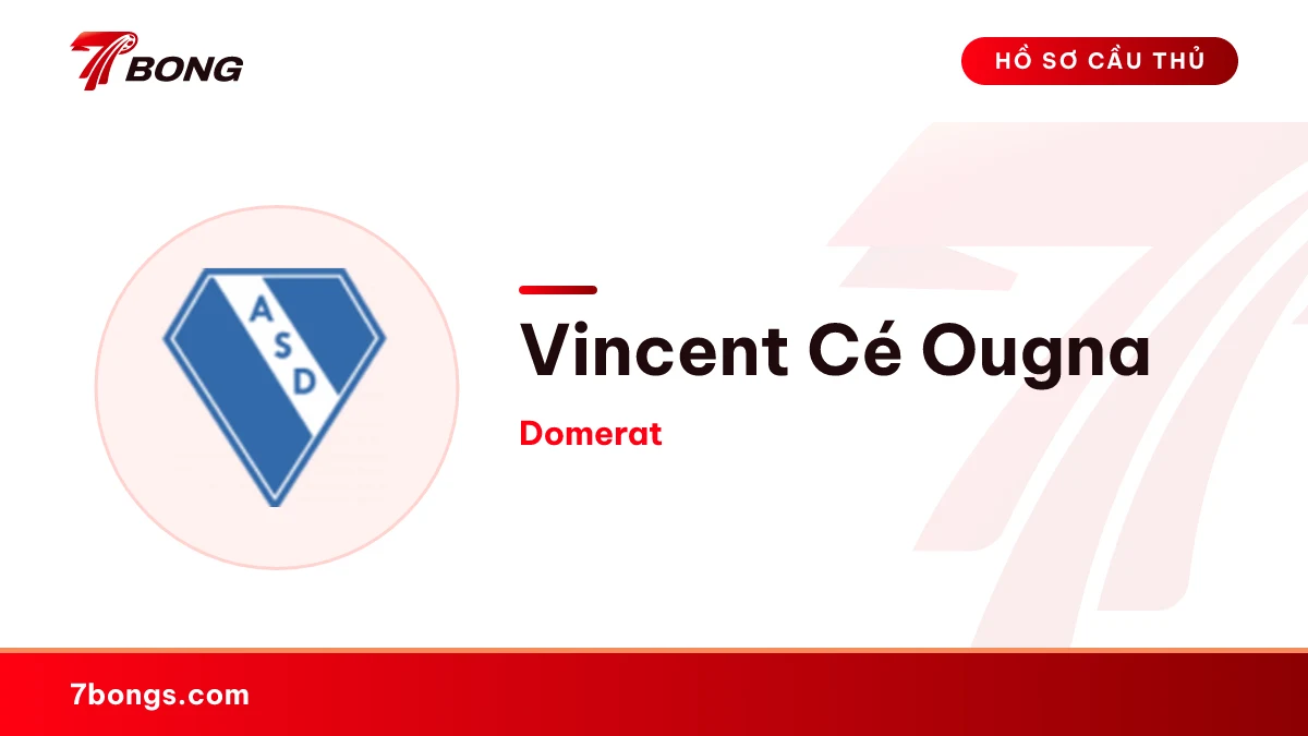 Vincent Cé Ougna — Domerat