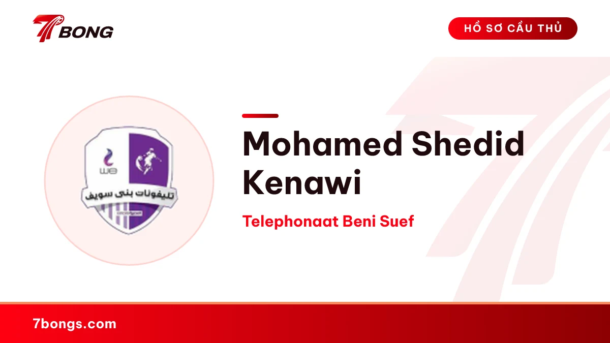 Mohamed Shedid Kenawi — Telephonaat Beni Suef
