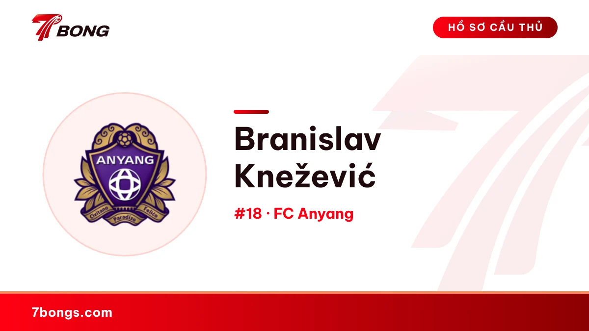 Branislav Knežević — FC Anyang
