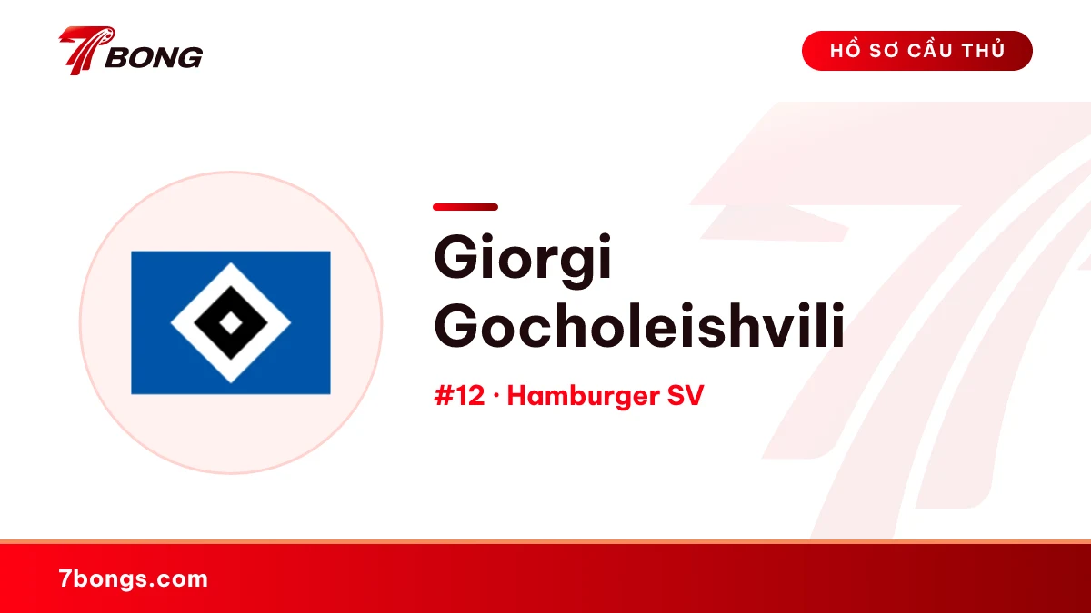 Giorgi Gocholeishvili — Hamburger SV