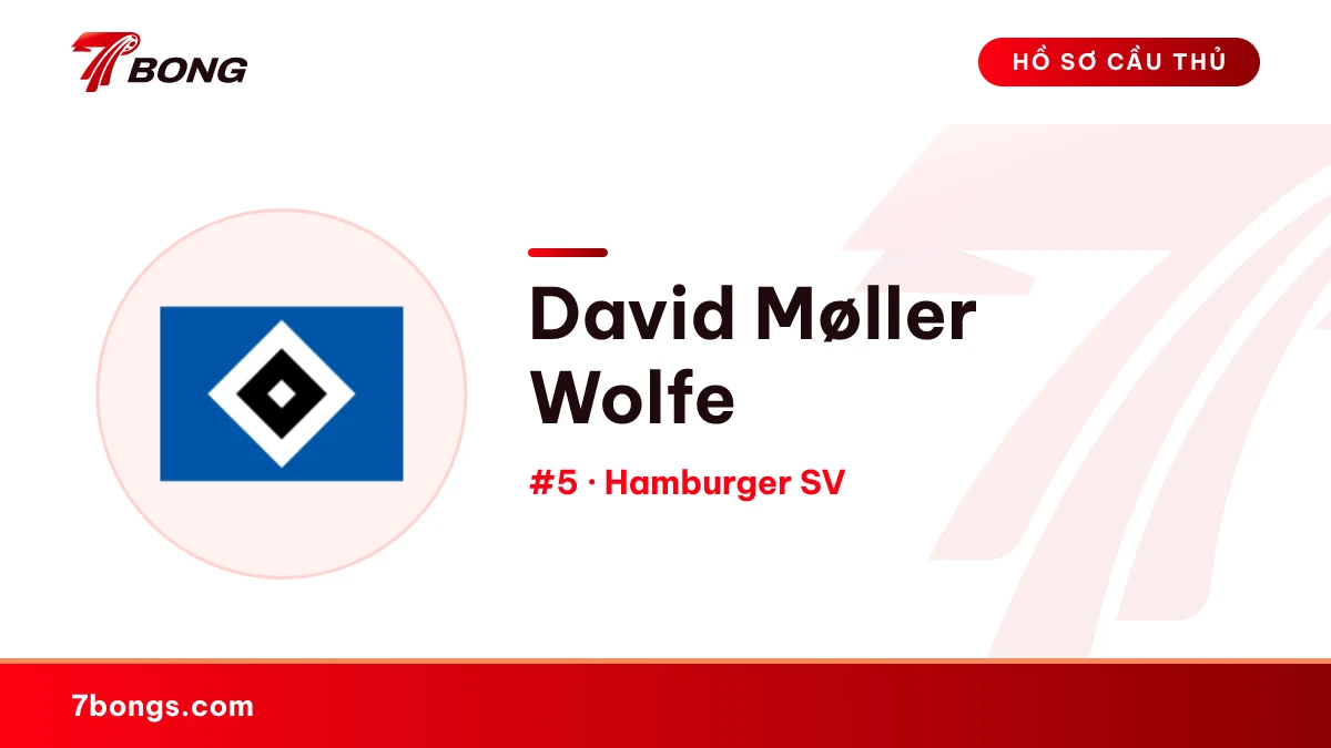 David Møller Wolfe — Hamburger SV