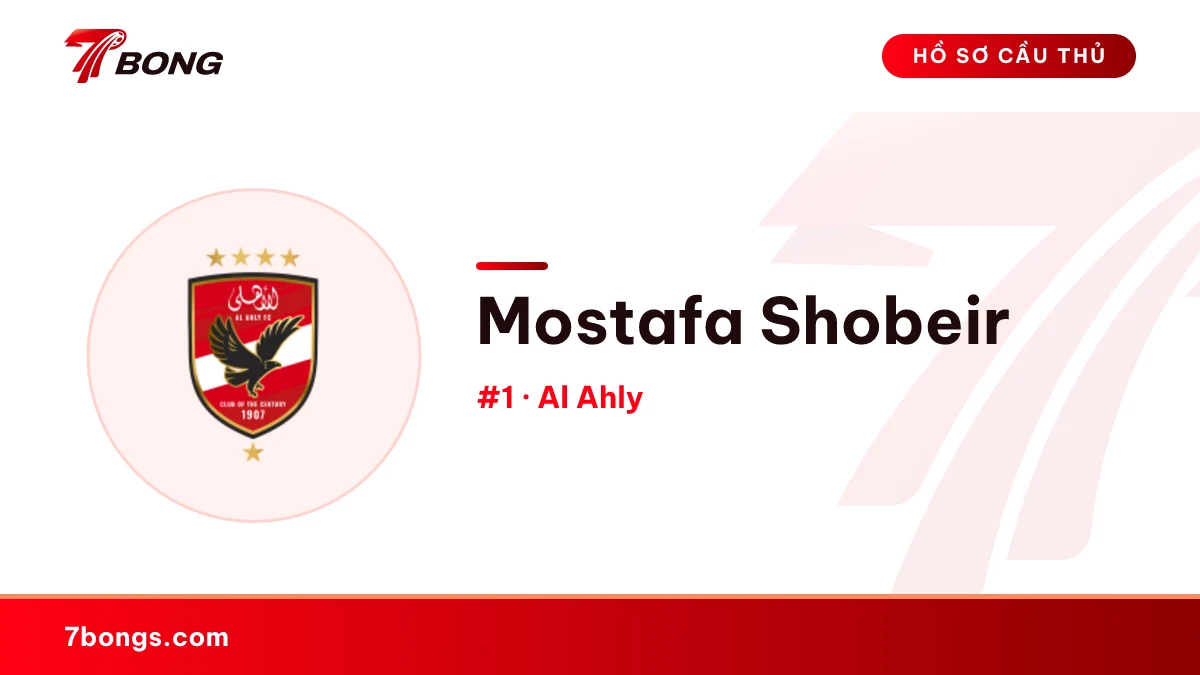 Mostafa Shobeir — Al Ahly