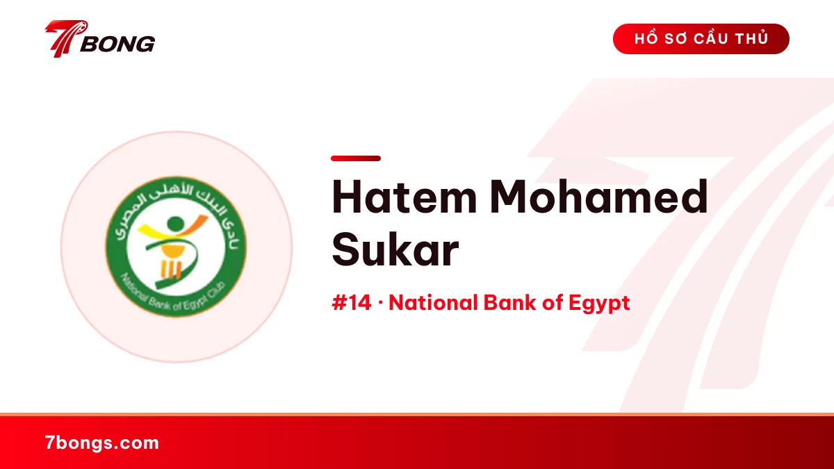 Hatem Mohamed Sukar — National Bank of Egypt