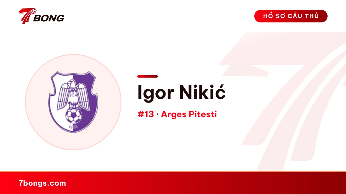 Igor Nikić — Arges Pitesti