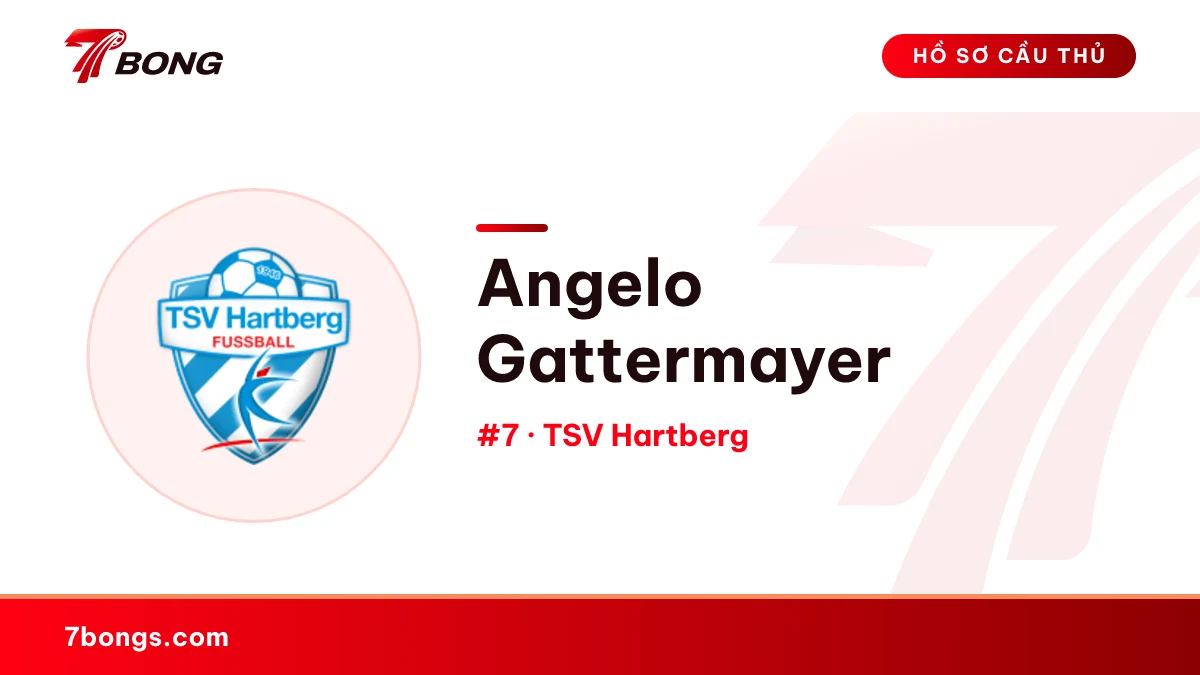 Angelo Gattermayer — TSV Hartberg