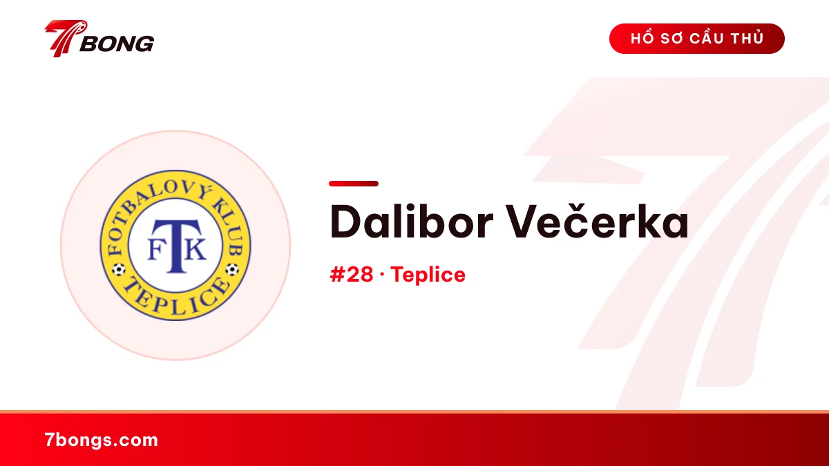 Dalibor Večerka — Teplice