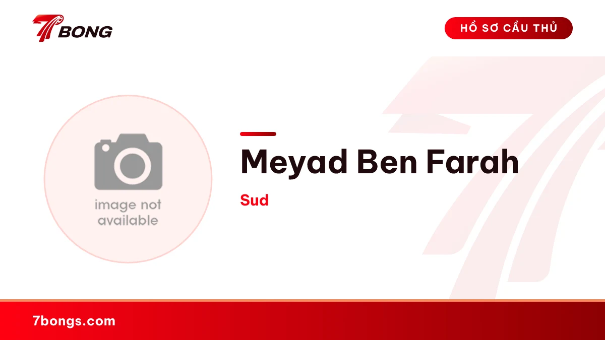 Meyad Ben Farah — Sud