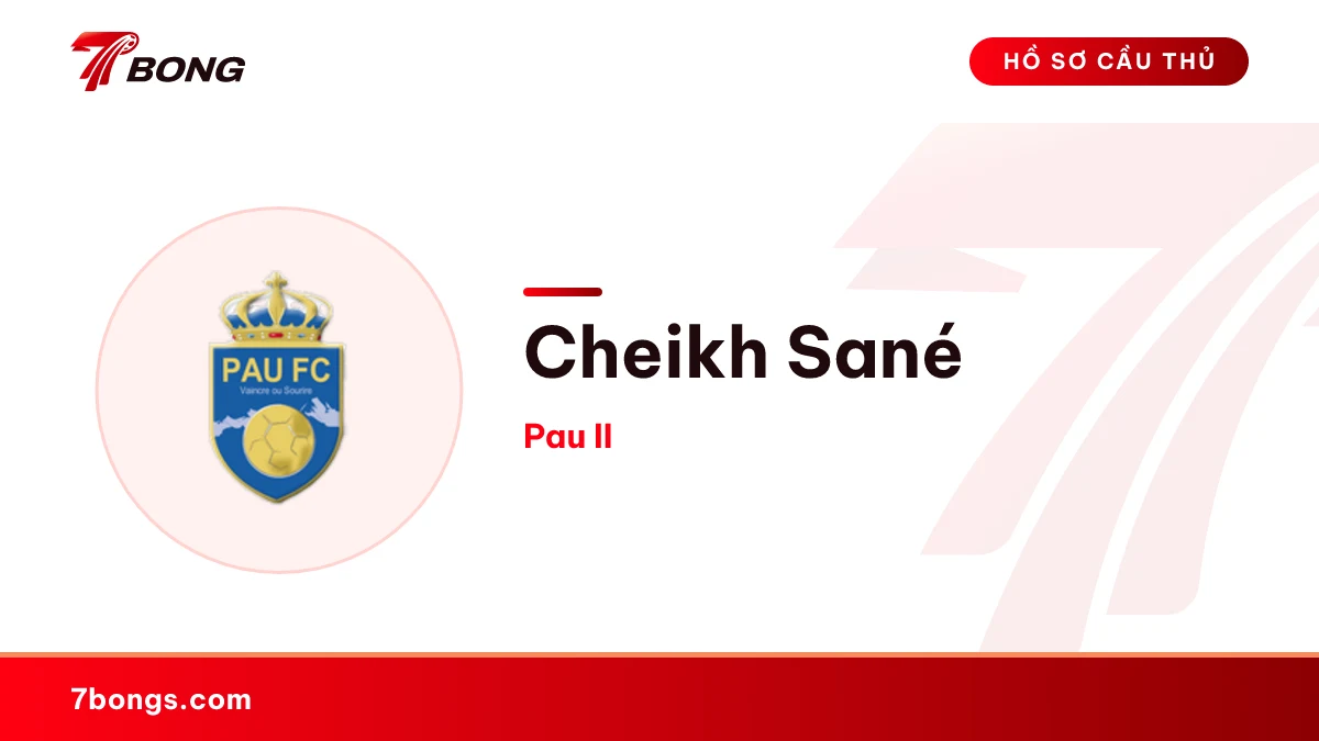 Cheikh Sané — Pau II