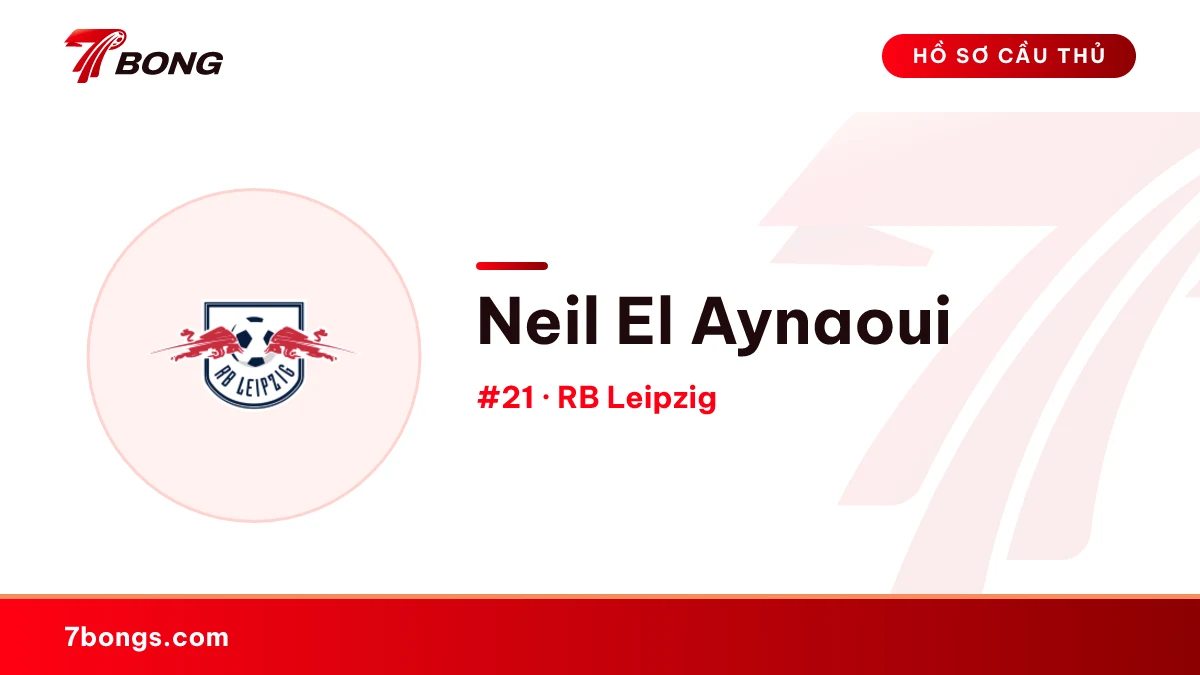 Neil El Aynaoui — RB Leipzig