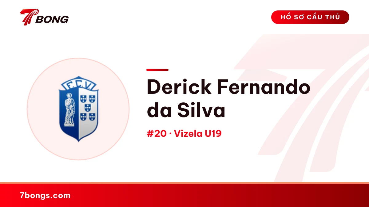 Derick Fernando da Silva — Vizela U19