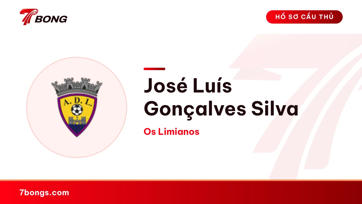 José Luís Gonçalves Silva — Os Limianos