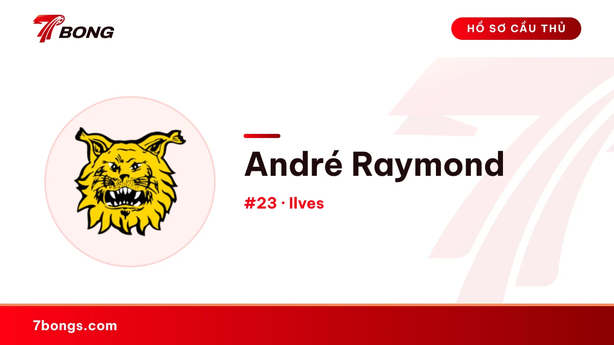 André Raymond — Ilves
